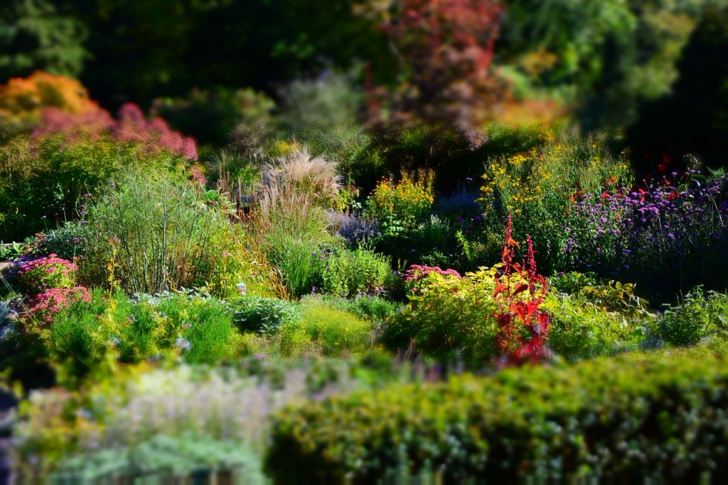 Stauden als perfekte Mischung für jeden Garten Ratgeber